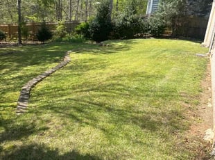 Thomasia E.'s Lawn Service service result