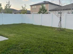 Sharon S.'s Yard Cutting service result