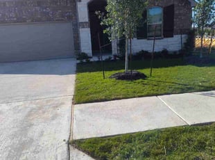 Chad R.'s Lawn Care service result