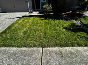 Darren H.'s Yard Cutting service result