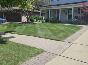 Elana H.'s Lawn Maintenance service result