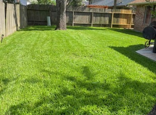 Reginald B.'s Lawn Maintenance service result