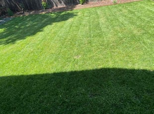 Mel M.'s Lawn Service service result