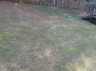 Leaf Removal by Shakir Harris for SHAMAL M. in Cumming, GA