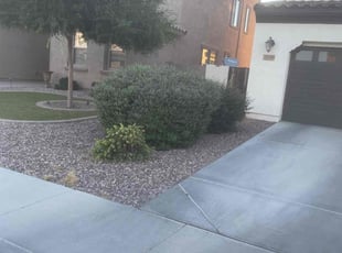 Bush Trimming by Andrew Hoodzow for Amanda B. in Mesa, AZ