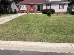 Tracy L.'s Lawn Maintenance service result