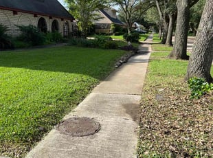 Frankie U.'s Lawn Mowing service result
