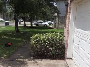 Bush Trimming by Ruben Villarreal for Mary M. in Richmond, TX
