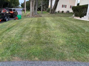 Lydia E.'s Lawn Care service result