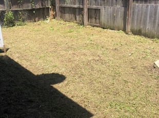 Cleanups by Leo Hollies for Kiesha V. in Baton Rouge, LA