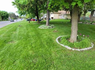 Kyle F.'s Lawn Maintenance service result