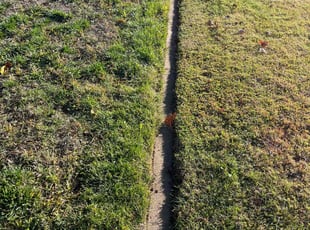 Jonathan N.'s Lawn Care service result