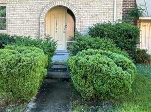 Bush Trimming by Manny Chavez for Michael D. in Woodbridge, VA