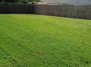 Shareon B.'s Lawn Mowing Service service result