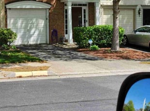 Bush Trimming by Mark Burke for Linda G. in Bristow, VA