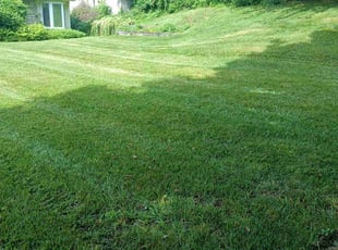 Linda S.'s Lawn Care service result