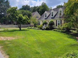 Matt H.'s Lawn Mowing service result