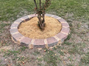 Weeding by Miguel Ybarra for Kammy V. in New Braunfels, TX
