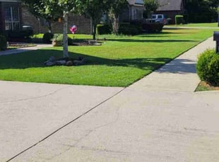 Jade B.'s Lawn Mowing Service service result