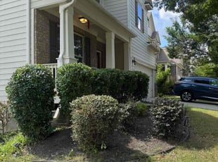 Janice C.'s Bush Trimming service result