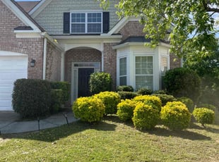 Paisley G.'s Lawn Maintenance service result