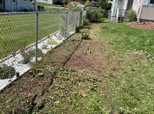 Cleanups by Darren Mudget for Boris H. in Lansing, MI