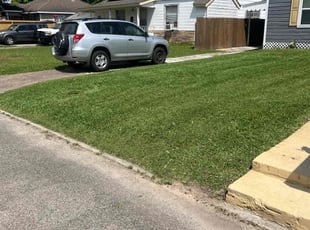 Lynn P.'s Lawn Care service result