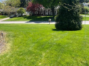 Lex A.'s Lawn Mowing service result