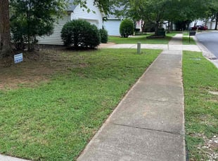 Amy R.'s Lawn Care service result