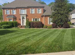 Elizabeth S.'s Lawn Mowing Service service result
