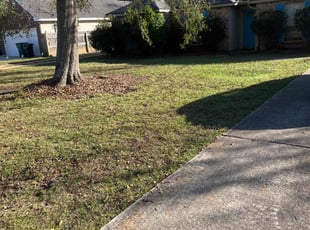 Leaf Removal by Jonathan Jones for Michael J. in Mandeville, LA