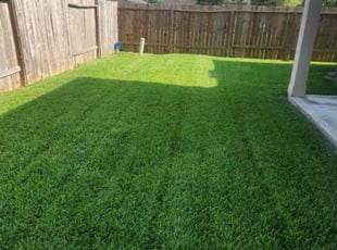 Jonah E.'s Lawn Mowing Service service result