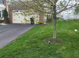 Carolyn K.'s Lawn Care service result