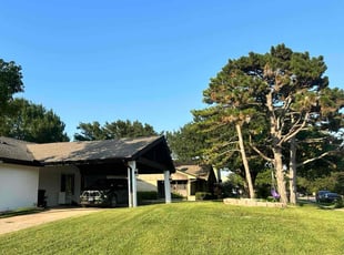 Tiffany E.'s Lawn Maintenance service result