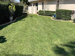 Bobby E.'s Yard Cutting service result