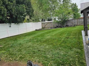 Byron E.'s Lawn Service service result