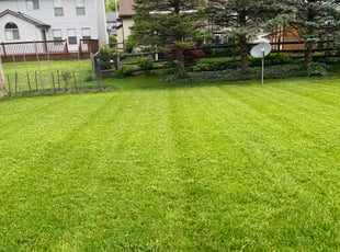 Chris C.'s Lawn Mowing Service service result
