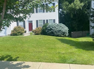 Staci O.'s Lawn Service service result
