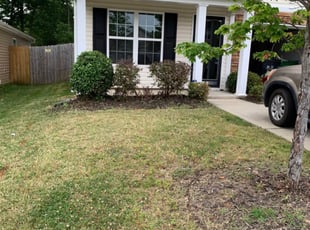 Bush Trimming by Jason Pope for Mydeah E. in Charlotte, NC
