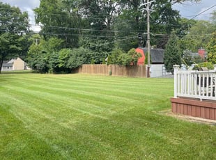 Lin K.'s Lawn Care service result