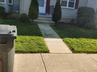 Bush Trimming by Allan Roberts for Amarilys E. in Burke, VA