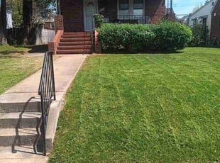 Peter R.'s Lawn Service service result