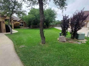 Ashley T.'s Yard Cutting service result