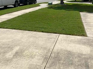 Goldie P.'s Yard Cutting service result