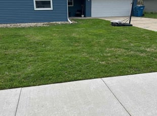 Tim H.'s Lawn Mowing Service service result