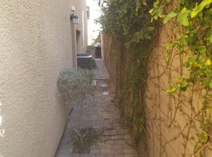 Bush Trimming by Leland Floyd for Adam K. in Las Vegas, NV
