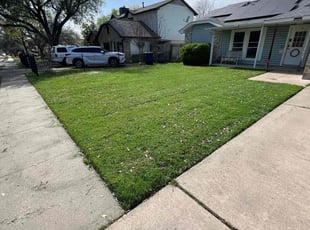 April P.'s Yard Cutting service result