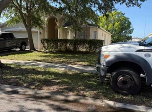 Bush Trimming by William Chavers for Estelle E. in Riverview, FL