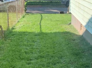 Shirley M.'s Lawn Mowing Service service result