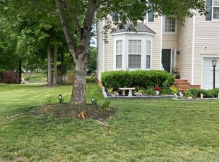 Millie C.'s Lawn Care service result